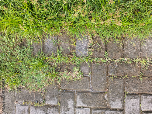 Overgrown Grass and Weeds Growing on Brick Pavement