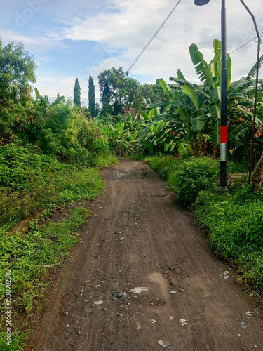 Dirt Path Surrounded by Green Foliage and Banana Trees Under Blue Sky