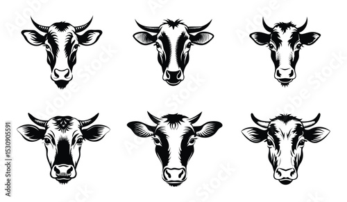 Cow head set on a white background