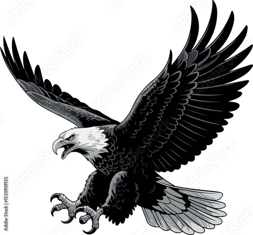Majestic Bald Eagle in Dynamic Flight- Traditional Black And White Vector Illustration.