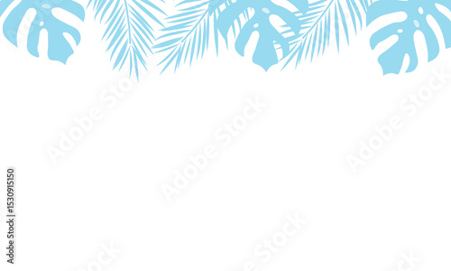 tropical frame  with palm trees