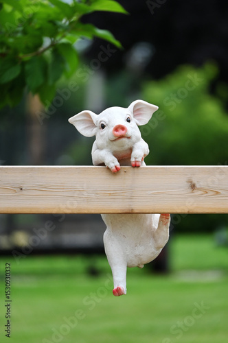 Pig Hanging on Fence