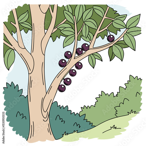 Cartoon illustration of a jaboticaba tree with fruit