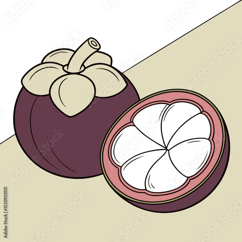 Whole and halved mangosteen fruit illustration