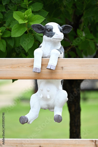 Calf Hanging on Fence