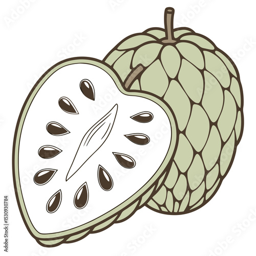 Cherimoya fruit half and whole illustration