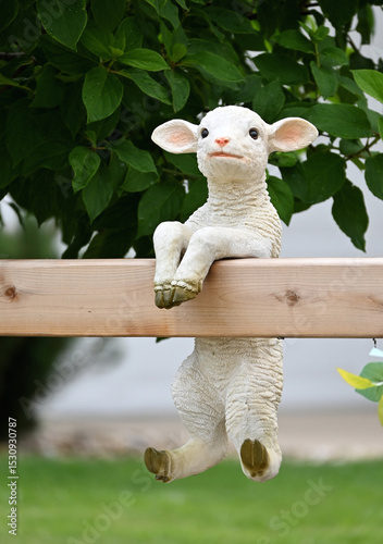 Lamb on Fence