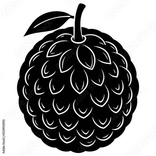 Black and white cherimoya fruit illustration