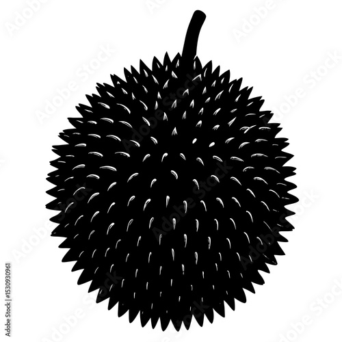 Black and white durian fruit silhouette illustration