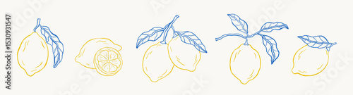 Set of doodle hand-drawn lemons. Tropical citrus fruit