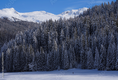 Langläufer bei sonnigem Wetter in einer verschneiten Wald- und Berglandschaft ein den Schweizer Alpen in Davos. photo