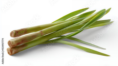 Fresh Lemongrass Stalks Isolated on White Background