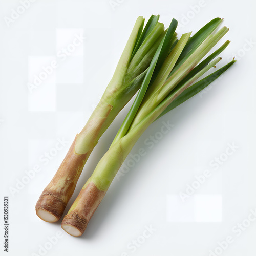 Fresh Lemongrass Stalks Isolated on White Background