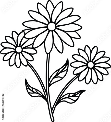 Simple hand drawn daisy flowers black and white illustration perfect for coloring pages or decorative elements