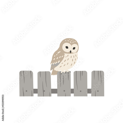 Owl Perched