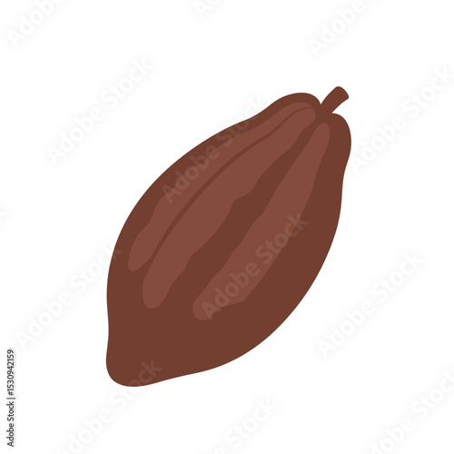 Cocoa pod on white background, brown color, simple design with stem and pod details