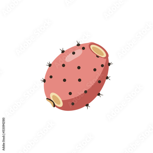 Cartoon illustration of an oblong, pink, spiky fruit with brown spots on a white background