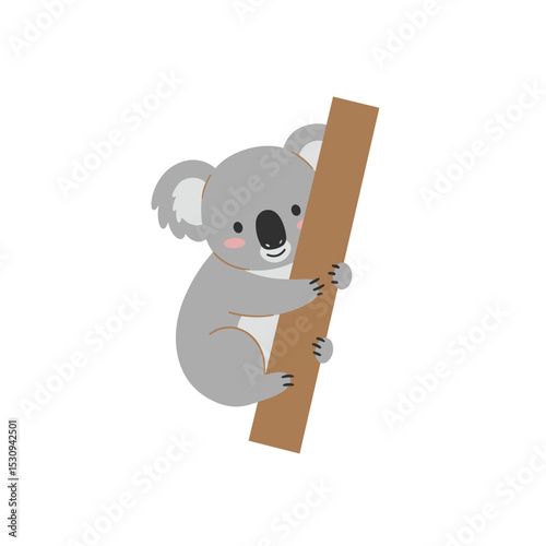 Cute vector koala climbing a branch, isolated against a white background in cartoon-like illustration style