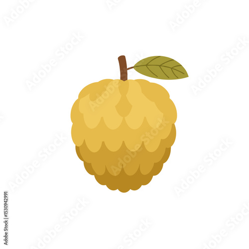 Stylized custard apple illustration, with a stem and leaf, isolated on a white background