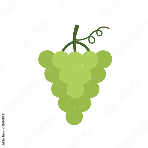 Cartoon of light green grapes with leaves and vine swirls on a white background