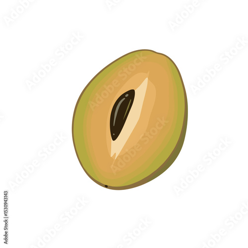 Cut sapodilla fruit showcases brown hues, a dark seed, creamy flesh on a white background