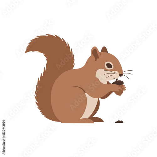 Cute cartoon squirrel holds an acorn with its tiny hands, against a blank white background