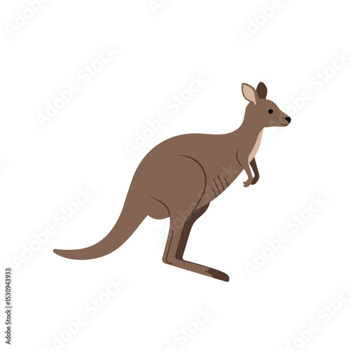 Vector image of a kangaroo standing on its hind legs, shown in brown tones against a white background