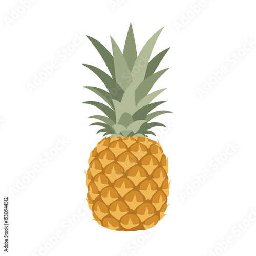 Stylized pineapple illustration