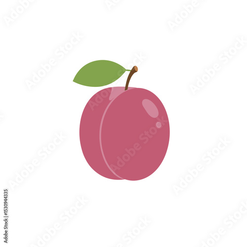 Simple plum illustration