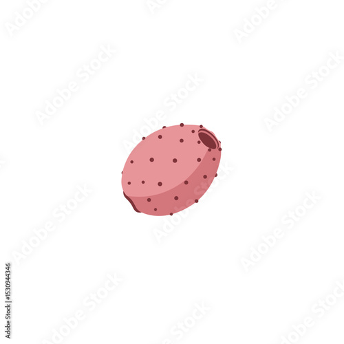 Isolated stylized prickly pear fruit, tilted with reddish dots and a cylindrical hole