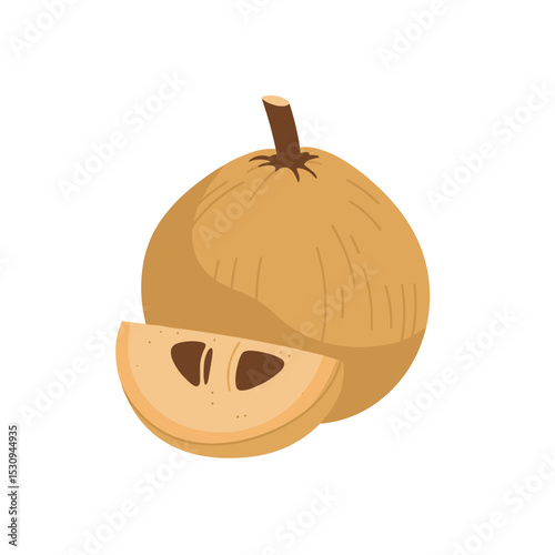 Simple illustration of a cut open sapodilla fruit against a white background