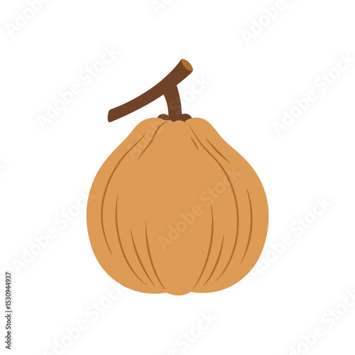 Simple flat vector illustration of a tan pear with a short brown stem on a white background