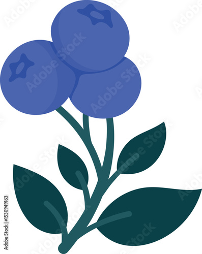 Hand Drawn Blueberry Branch with Ripe Berries and Leaves. Cute Botanical Illustration for Kitchen Decor, Packaging, Stickers, Labels, Logos, Farmers Market or Food Branding
