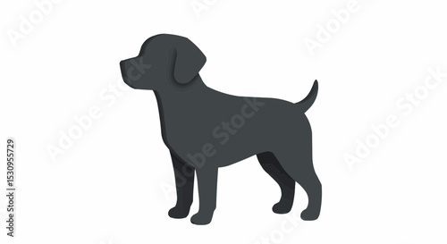 A stylish and sleek black dog standing proudly. 