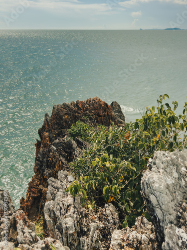 Rocky headland with tropical vegetation and turquoise sea