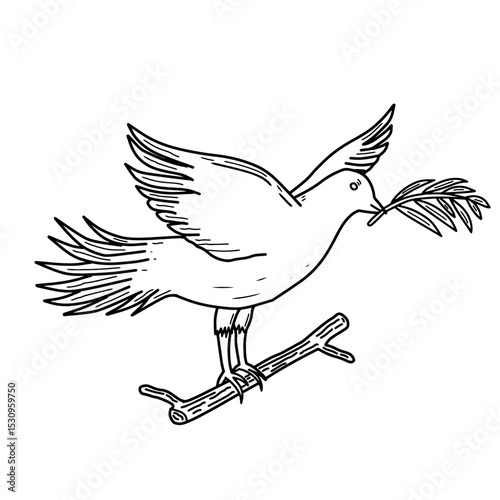 Pigeon bird with leaf thin line icon, peace concept. Hand drawn flying pigeon with branch line art