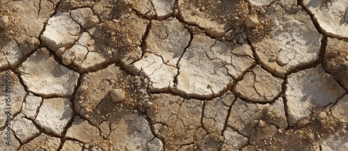 Dry cracked earth in an arid landscape