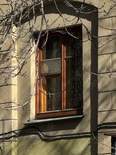 A lonely old window in an old building is hidden behind lifeless branches