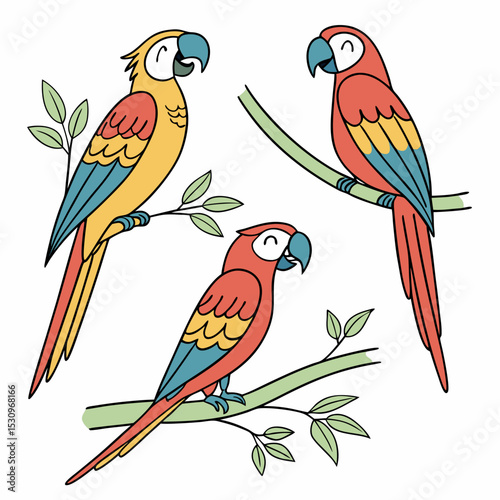 Colorful parrots set. Collection of exotic and tropical birds with bright feathers and beak. Wildlife of jungle and tropical forest. Cartoon flat vector illustrations isolated on white .