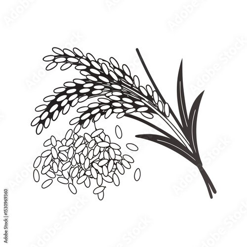line art of indian rice grains