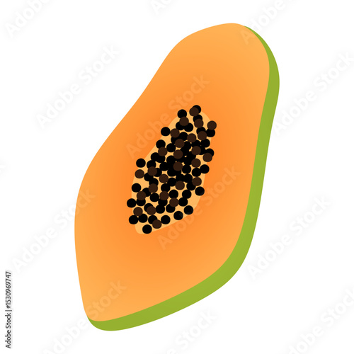 papaya vector