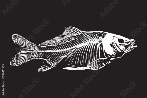 Fish Skeleton Illustration. Vintage Hand-Drawn Style on Black Background
