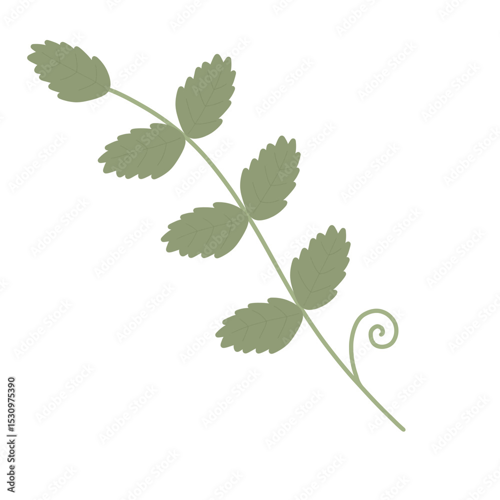 Naklejka premium foliage isolated