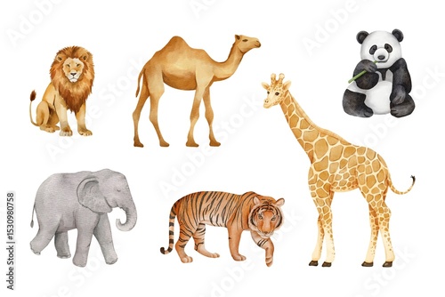 Watercolor of animals set on white background. Watercolor of lion, tiger, panda, elephant, giraffe, and camel isolated. Sketch of zoo animals