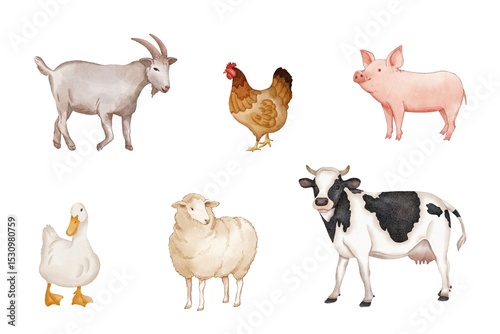 Watercolor of animals set on white background. Watercolor of goat, sheep, chicken, pig, cow, and duck isolated. Sketch of livestock