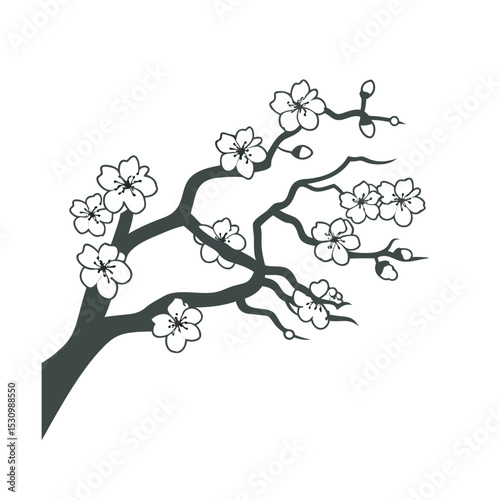 line art of japanese cherry blossom