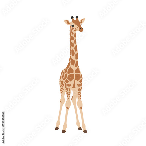 Cartoon giraffe illustration with a long neck and brown spots on a white background