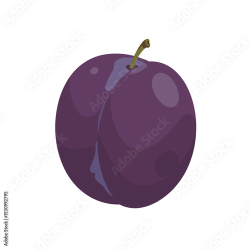 Vector illustration of a ripe, purple plum with a brown stem against a white backdrop