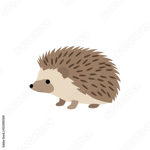 Minimalist cartoon hedgehog with brown spikes and neutral tones on a plain white background