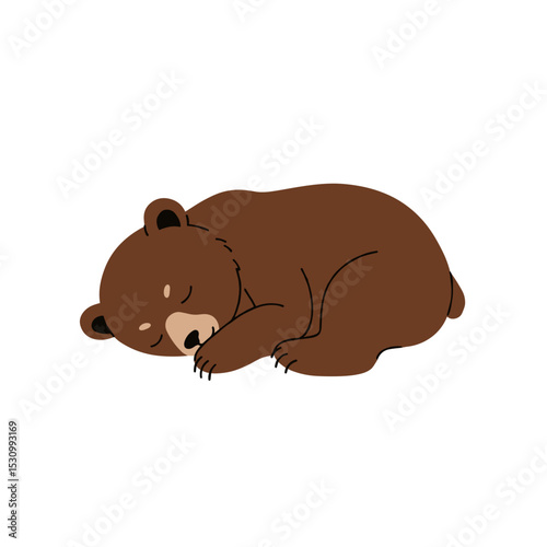 Illustration of a brown bear, curled up and sleeping, against a plain white background